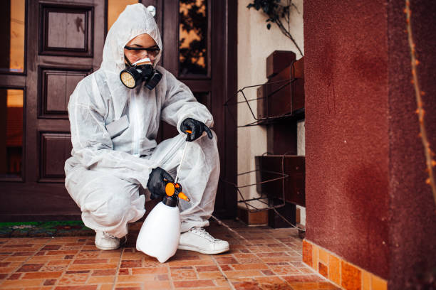 Reliable Bed Bug Control contractor in Brooklyn, NY by Nex Pest Control